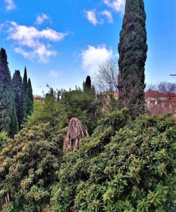 Casa Raffaello Careggi Leilighet Firenze Eksteriør bilde